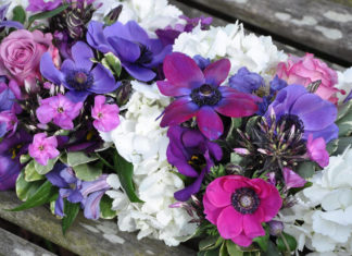 Обрезка анемоны