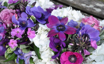 Размножение и выращивание анемон на дачном участке Обрезка анемоны