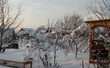 Зимние работы в саду-огороде – советы бывалого дачника