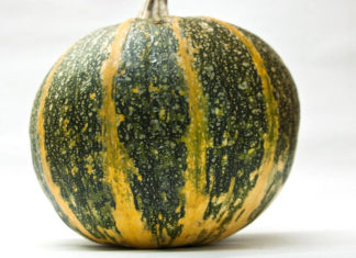 Рейтинг сорта тыквы Абрикосовая