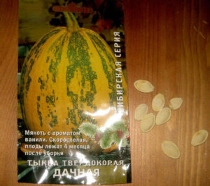Отзывы о сорте тыквы Дачная
