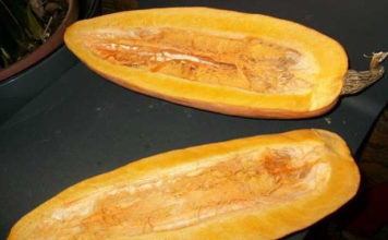 Рейтинг сорта тыквы Сладкий банан