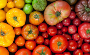 Лучшие сорта томатов для открытого грунта – рейтинг Рейтинг томатов для открытого грунта